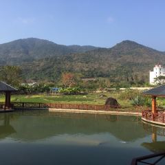 乐东民心农家乐 여행 사진