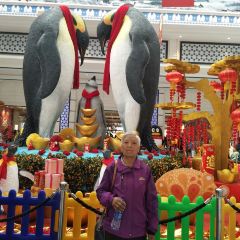 Emperor Penguin All Day Dining User Photo