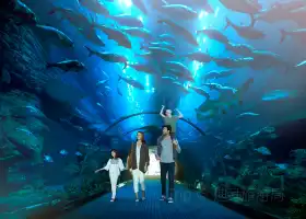 ドバイ水族館 & 水生生物園
