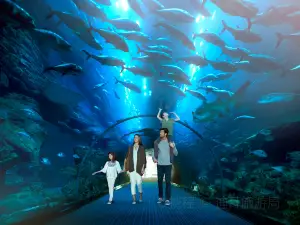 Dubai Aquarium & Underwater Zoo