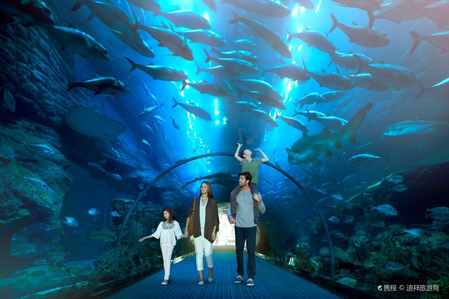 迪拜水族館和水下動物園