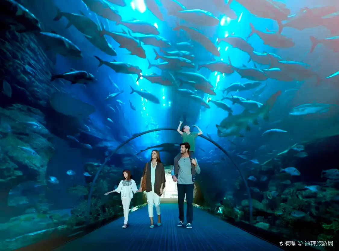 Hotels near Dubai Aquarium & Underwater Zoo