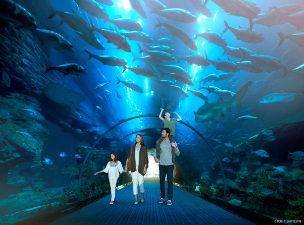 Dubai Aquarium & Underwater Zoo