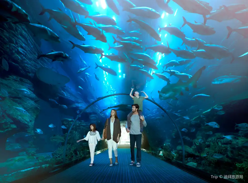 1_杜拜水族館和水下動物園
