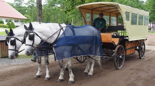 Northern Horse Park