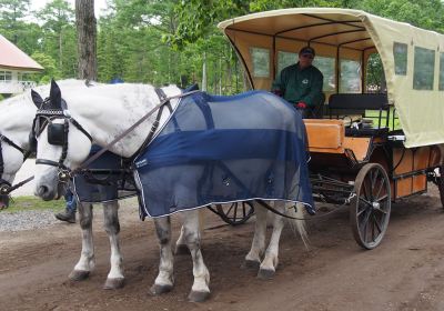 Northern Horse Park