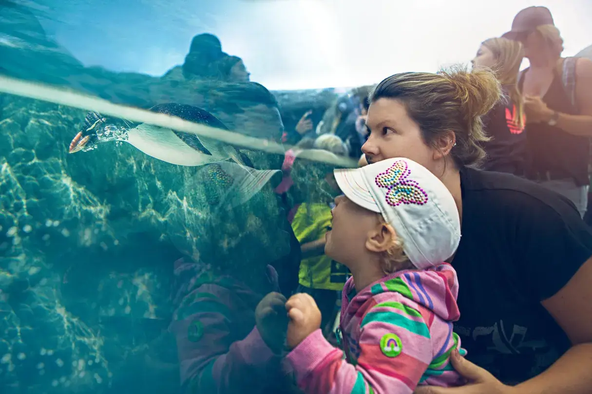 5_Wilder Institute/Calgary Zoo