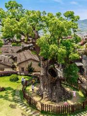 Changtai Ancient Mountain Scenic Area