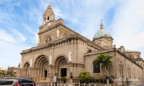 Basilica Minore Metropolitana dell'Immacolata Concezione