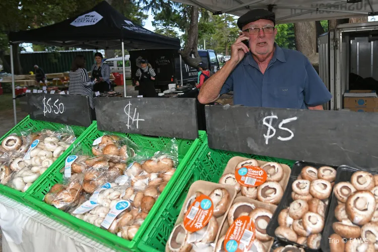 Hawkes Bay Farmers Market3