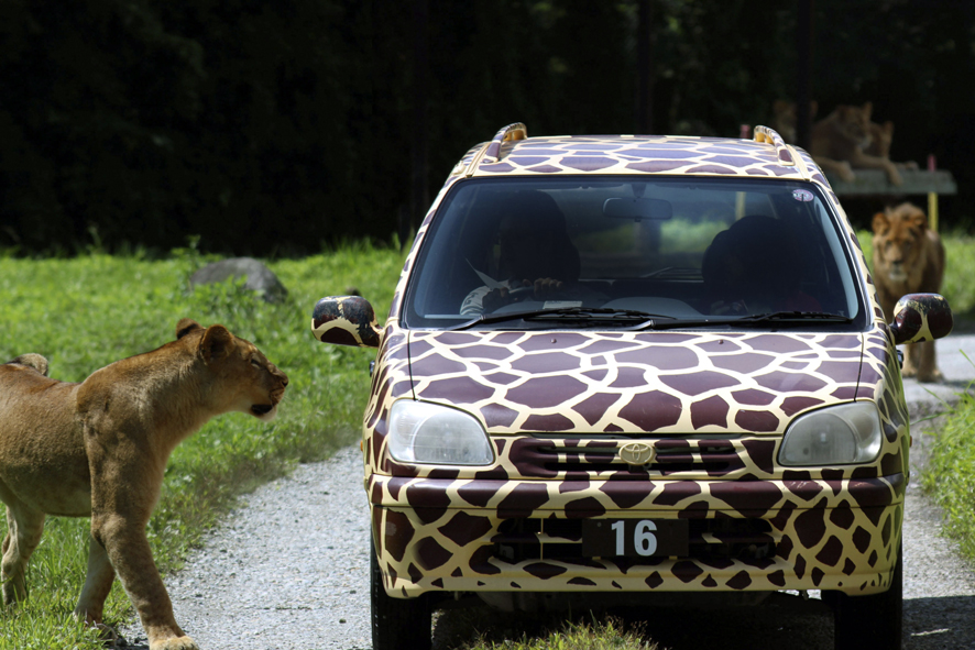 杤木 那須サファリパーク 入場Eチケット 予約