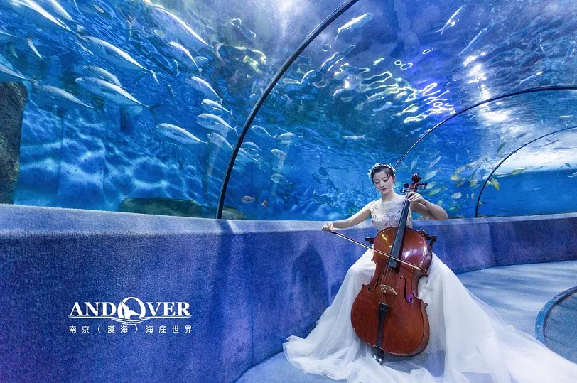 5_南京海底世界