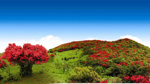 Baguanao Scenic Area