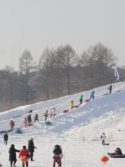 鴜鷺湖滑雪場