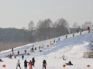 鴜鷺湖滑雪場