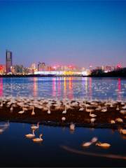 Swan Lake National Urban Wetland Park