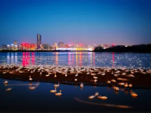 Swan Lake National Urban Wetland Park