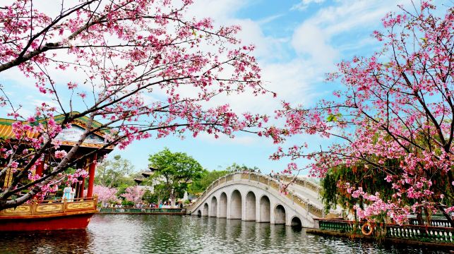 廣州嶺南印象園+寶墨園一日遊【嶺南園林瑰寶&荔枝錦鯉圖】