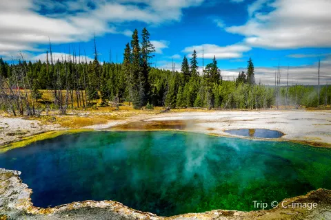 Parco nazionale di Yellowstone