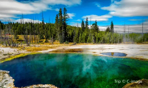 Yellowstone National Park