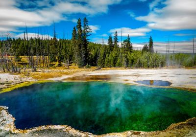 Parco nazionale di Yellowstone
