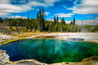 Parco nazionale di Yellowstone