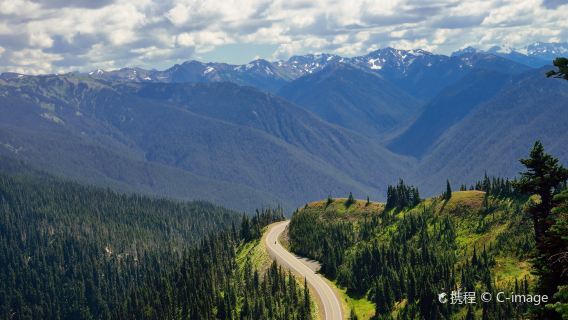 Grupo pequeño: excursión de un día al Parque Nacional Olympic desde Seattle con 2CanGo