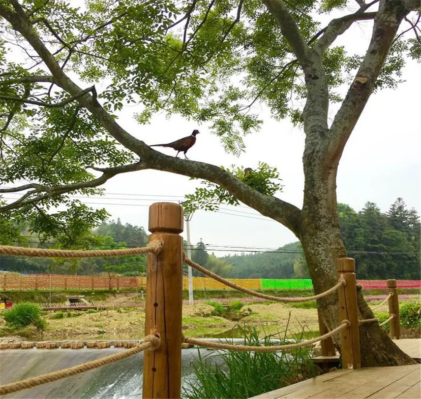 4_桃源裡旅遊度假區花海樂園