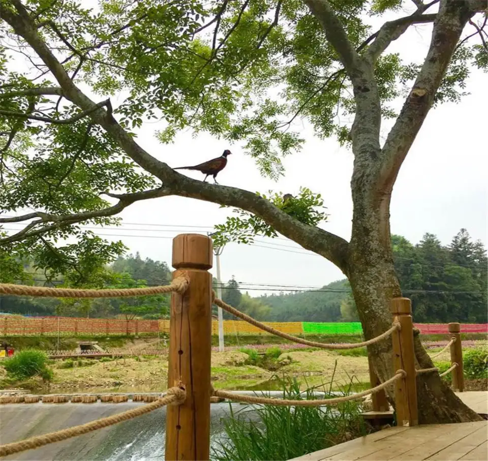 4_桃源裏旅遊度假區-花海樂園