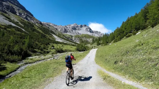 Segantinihütte / Chamanna Segantini