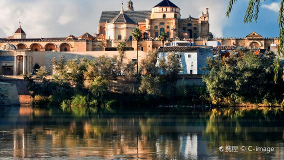 Cordova + Carmona (9 ore andata e ritorno Siviglia, tour in lingua inglese/spagnola)