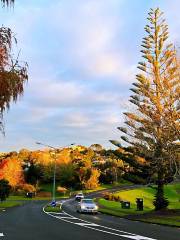 Browns Bay Beach