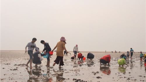 劉家湾趕海園