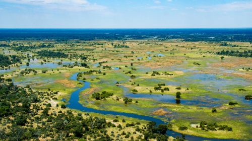 Okavango Delta