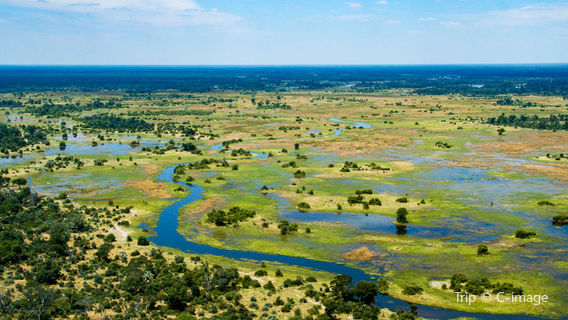 Okavango Delta