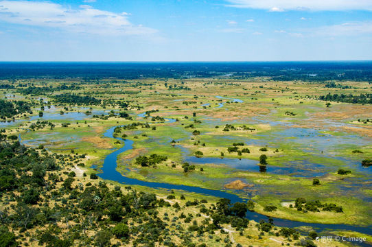 Okavango Delta