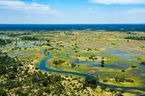 Okavango Delta