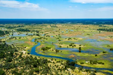 Delta de l'Okavango