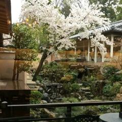 Isshi Souden Nakamura User Photo