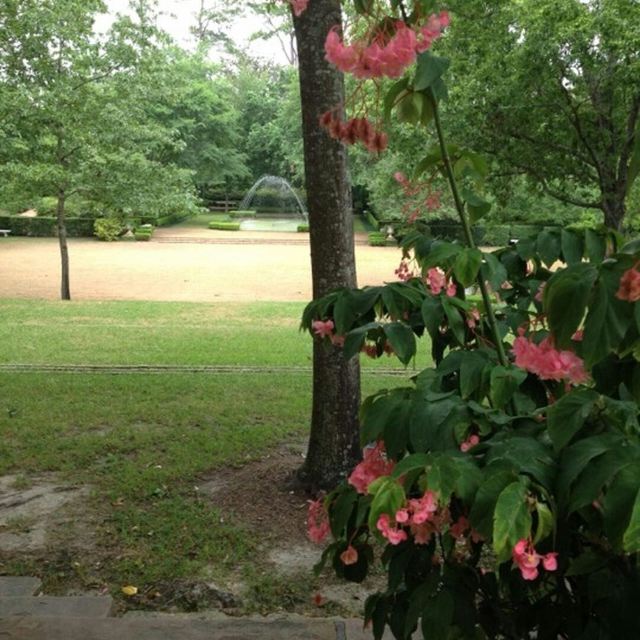 Bayou Bend Collection and Gardens