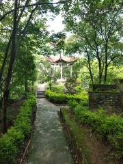 칭산 공원