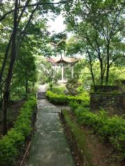 Qingshan Park