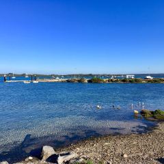 The Oyster Farm Shop 여행 사진