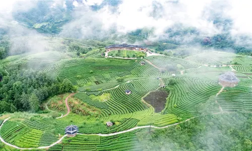 仙人山景區