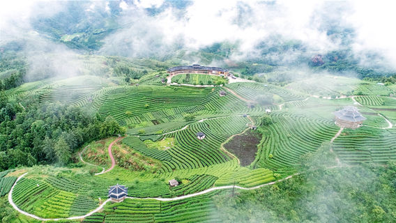 Sanjiang