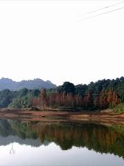 益陽北峰山森林公園