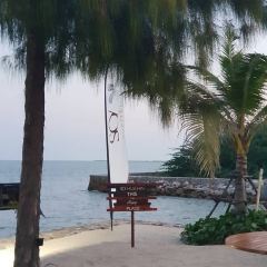 Beach Society ảnh của người dùng