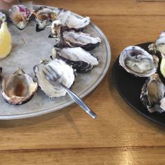 Get Shucked Oyster User Photo