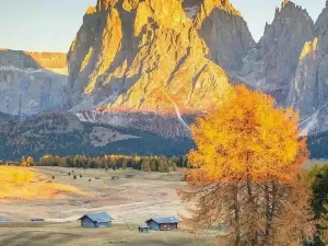 Alps