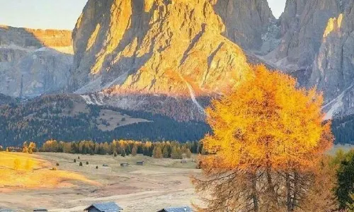 Alps